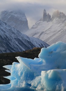 グレイ湖では、氷河から崩れた氷山が見えるでしょう。